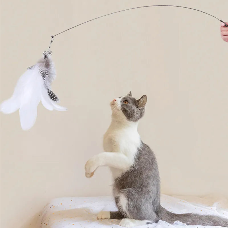 Cat Toys™